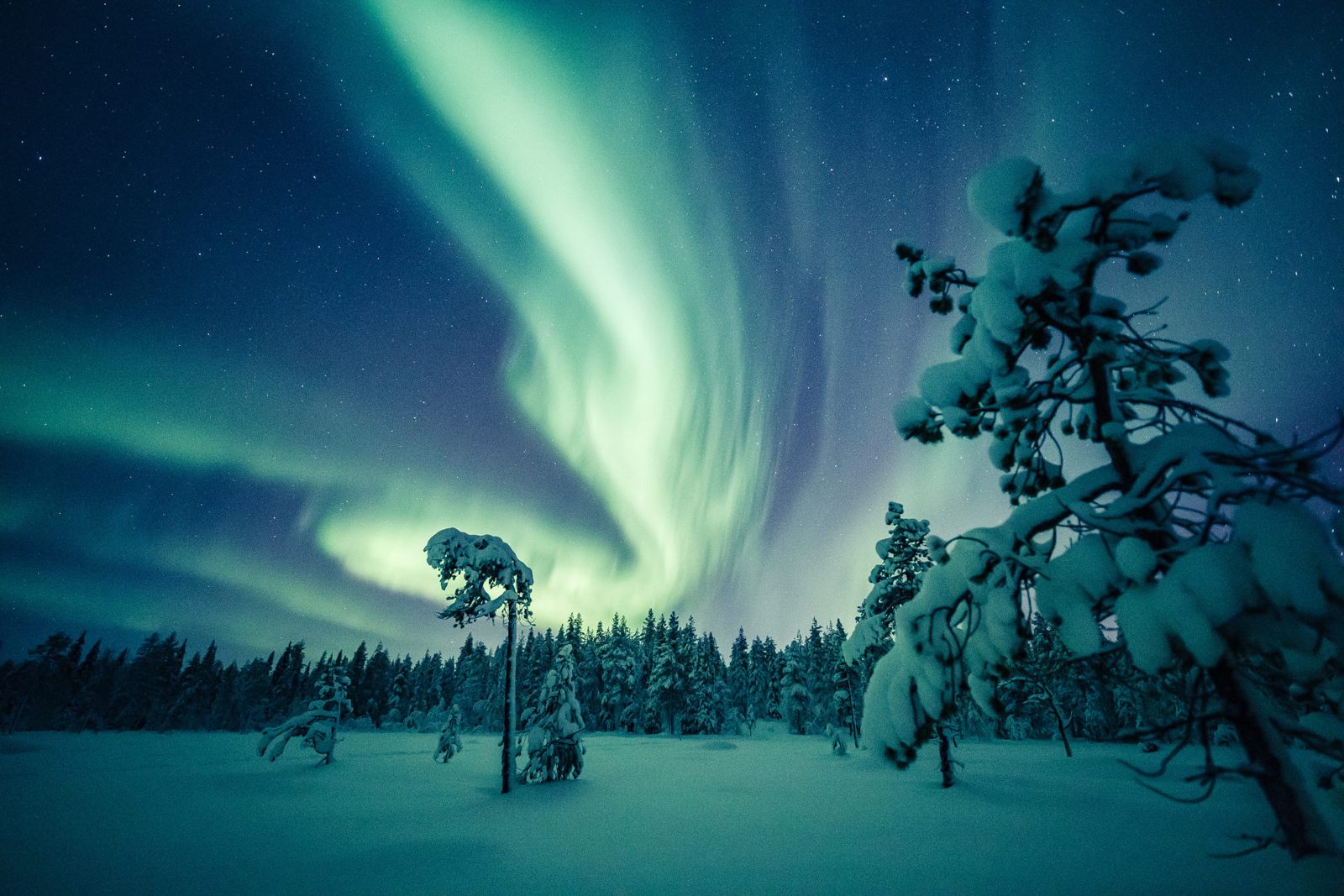 Lapland Turu 26 Ocak Sömestr Özel