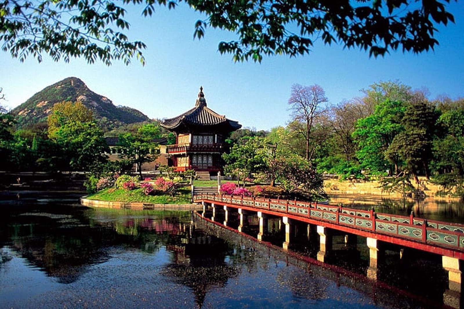 Elegant Japonya Güney Kore Türk hava Yolları ile 9 Gece